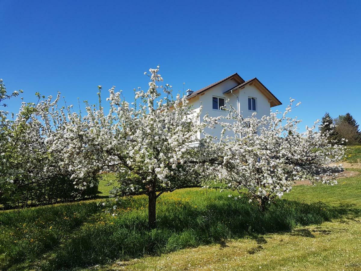 רוטווייל Ferienwohnung Buehlingen מראה חיצוני תמונה